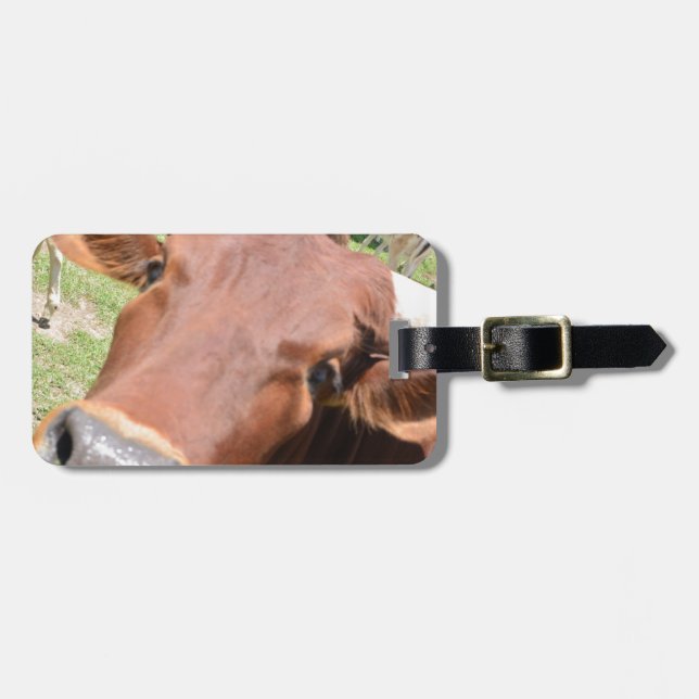 Safari Brown Cow Gepäckanhänger (Vorderseite horizontal)