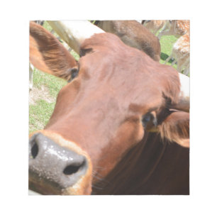 Safari Brown Cow Notizblock