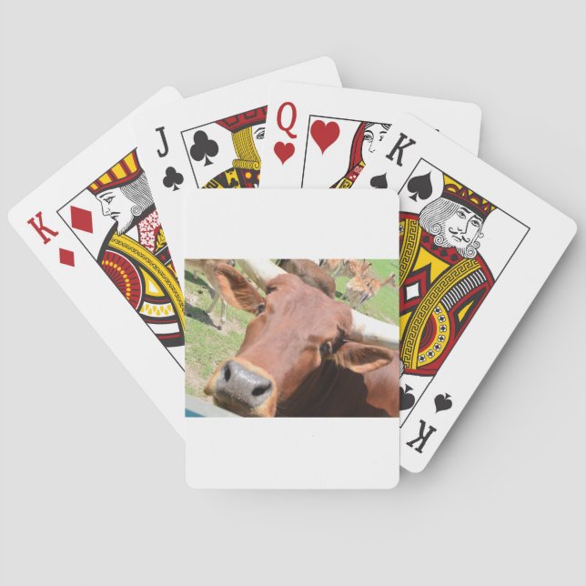 Safari Brown Cow Spielkarten (Rückseite)