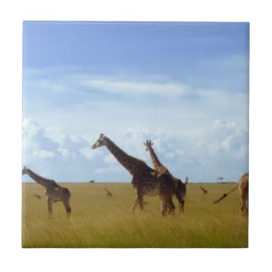 Safari-Dining: Nairobi-Park-Home-Kinrohr-Accessoir Fliese