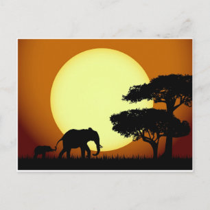 Safari-Elefanten bei Sonnenuntergang Postkarte