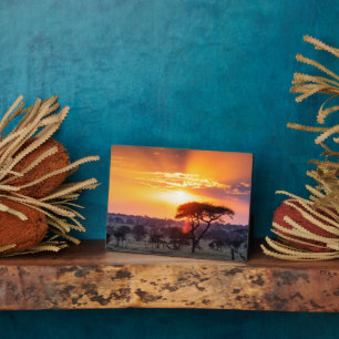 Safari im Serengeti-Nationalpark Fotoplatte