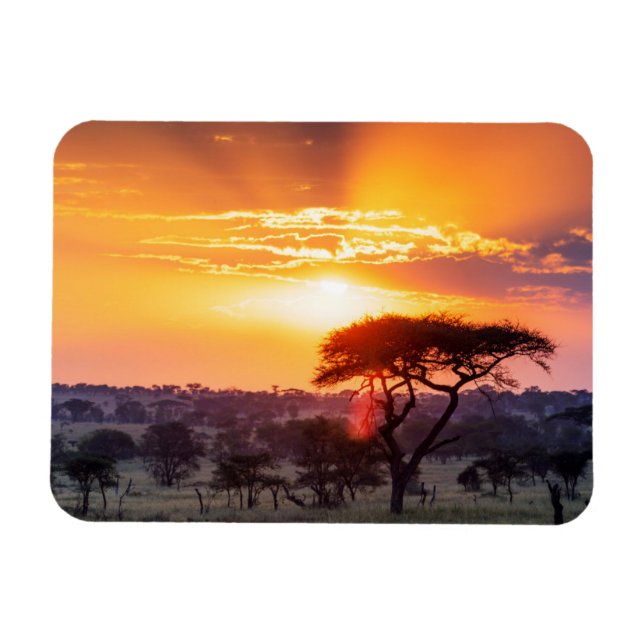 Safari im Serengeti-Nationalpark Magnet (Horizontal)