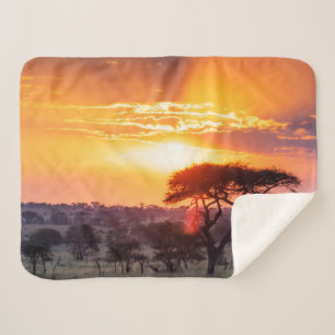 Safari im Serengeti-Nationalpark Sherpadecke