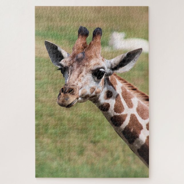 Safari in Des Moines Puzzle (Vertikal)