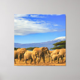 Safari Leinwanddruck