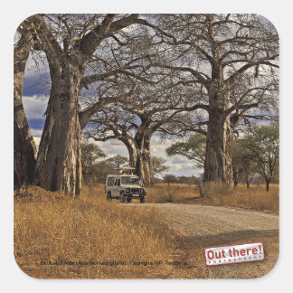 Safari Quadratischer Aufkleber