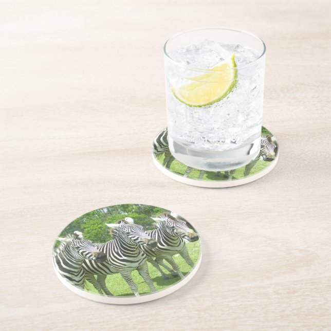 Safari Serenity: Drei Zebras Lion Country Safari Getränkeuntersetzer (Seite)