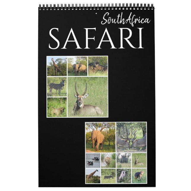 Safari Südafrika 2025 Kalender (Titelbild)