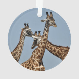Safari-Verzierung 1 Ornament