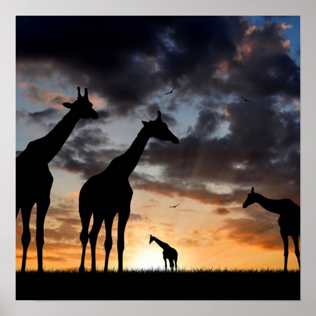 Safari-Wildtiergiraffe Silhouette Poster (Vorne)