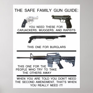 SAFE FAMILY GUN GUIDE POSTER