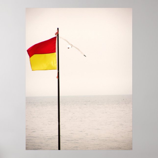 Safe Flight Poster (Vorne)