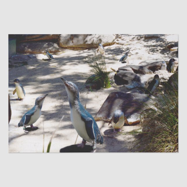 Safe Haven: Fairy Pinguin Paradise, Seidenpapier (Vorderseite)
