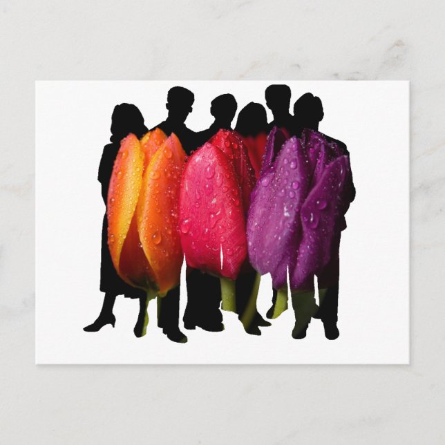 SAFE HAVEN POSTKARTE (Vorderseite)