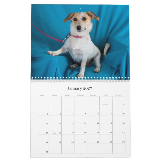 Safe übergibt Kalender 2015 (Jan 2027)