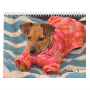 Safe übergibt Kalender 2015