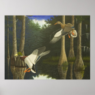 Safely Zuhause Poster