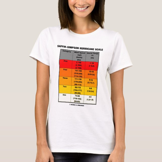 Saffir-Simpson Hurrikan-Skala (Meteorologie) T-Shirt (Vorderseite)