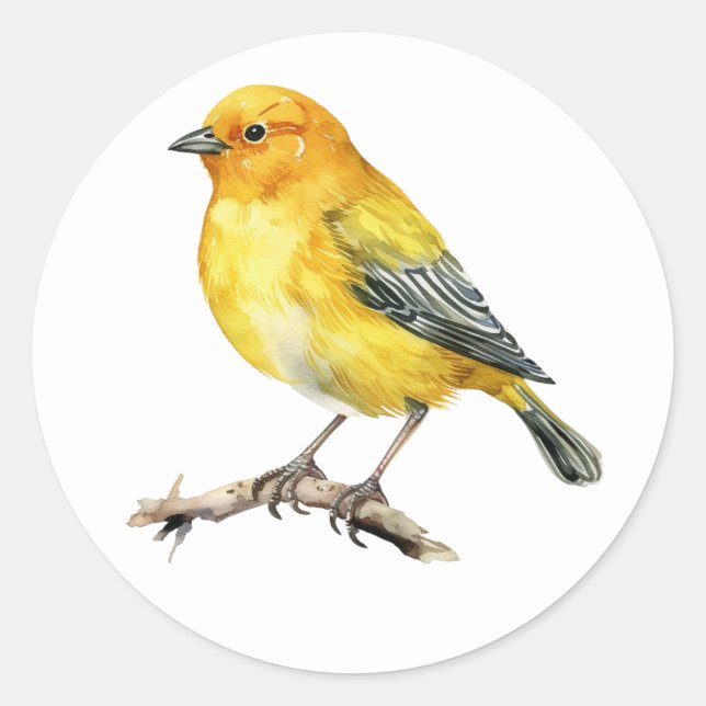 Saffron Finch Bird Stickers (Vorderseite)