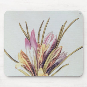 Safran oder Krokus, von 'La Guirlande de Julie' Mousepad