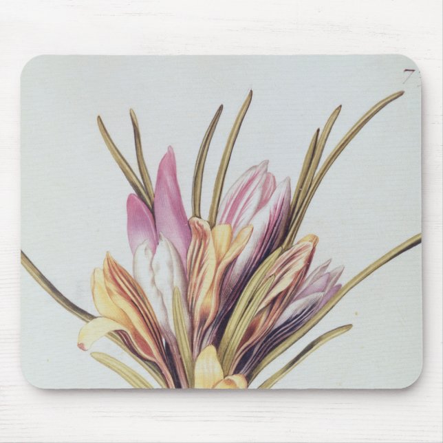 Safran oder Krokus, von 'La Guirlande de Julie' Mousepad (Vorne)