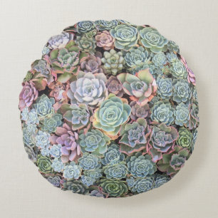 Saftige Garten-Mischung Sempervivum Rundes Kissen