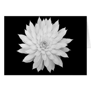 Saftige Mandala