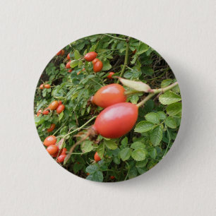 Saftige rote Rosenknospen Taste Button