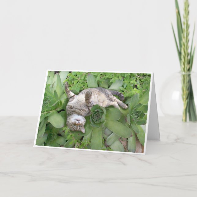 Saftiges Backscratch Karte (Vorderseite)