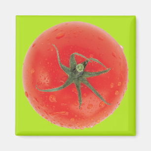 SaftTomate Magnet