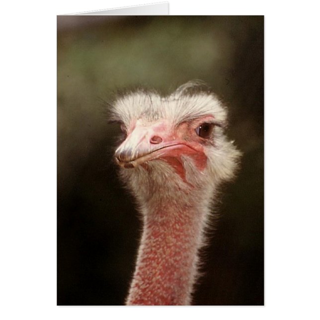 Sag das nochmal? (Vorne)