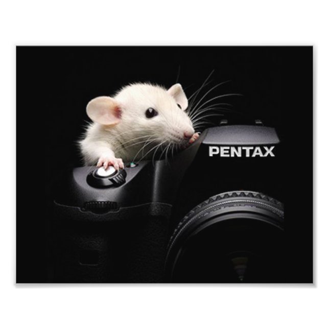 Sag Käse! Fotodruck (Vorne)