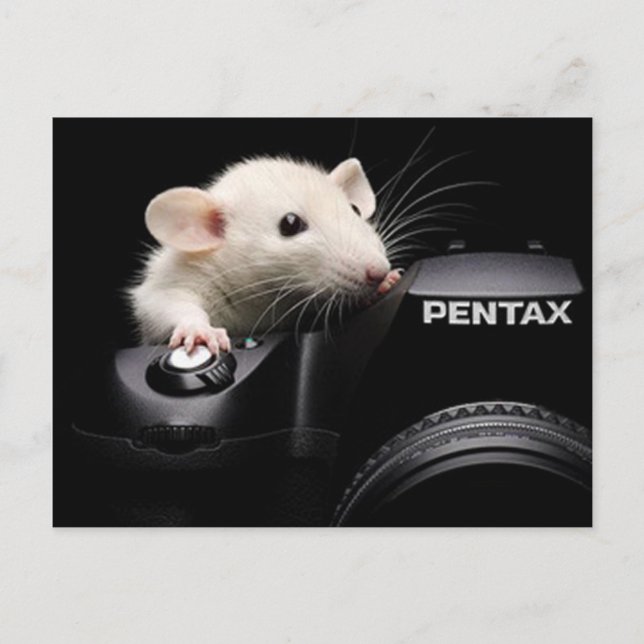 Sag Käse! Postkarte (Vorderseite)