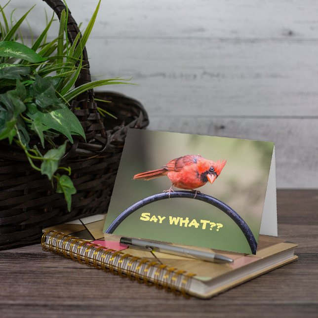 Sag was? Mitteilungskarte (This is a cute photo of a red Cardinal which lends itself well to a cute caption.)