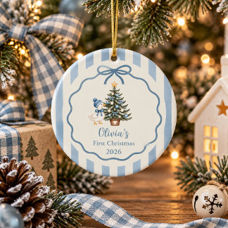 Sage Blue Silly Goose Baby Erstes Weihnachten Keramik Ornament