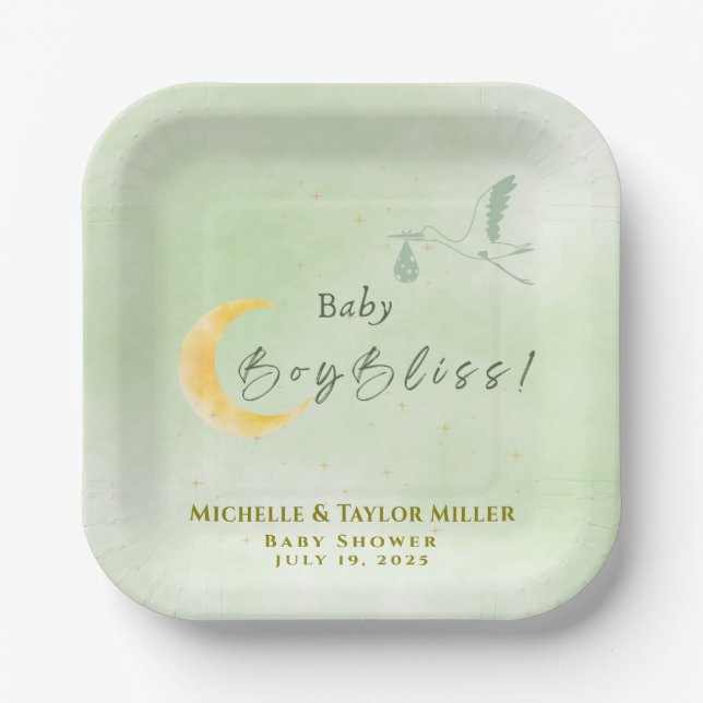 Sage Green Baby Boy Bliss Stork  Pappteller (Vorderseite)