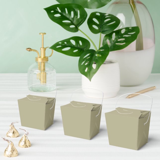 Sage Green Geschenkschachtel (Zahlreiche)