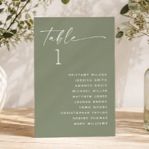 Sage Green minimalistische Sommer Hochzeitssitzkar