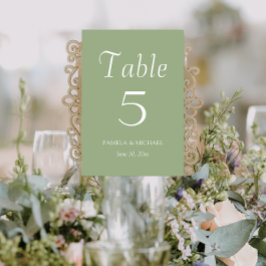 Sage Green Simple Style Wedding Tischnummer