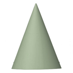 Sage Green Solid Color Party Hat Partyhütchen
