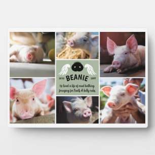 Sage Green Wings Pig Snout Memorial Foto Collage Fotoplatte