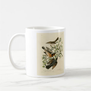 Sage Thrasher und Varied Thrush, Audubons Vögel Kaffeetasse