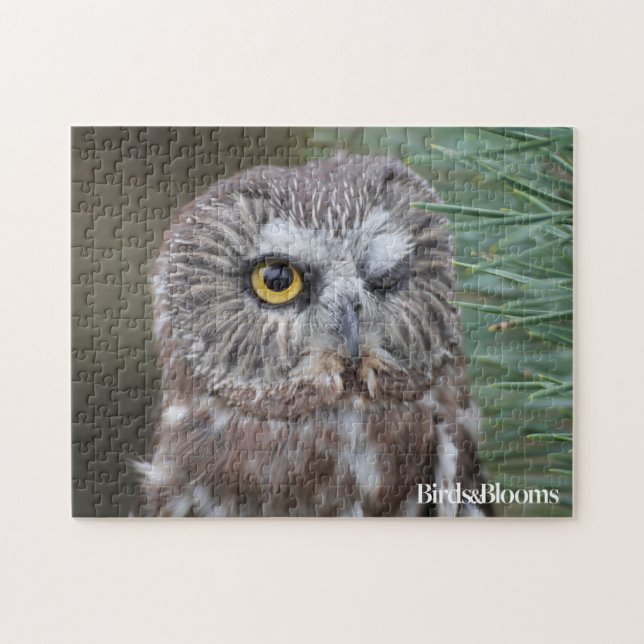 Säge-whet Eule Puzzle (Horizontal)