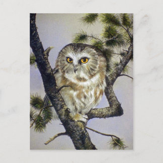 Sägemehl Postkarte