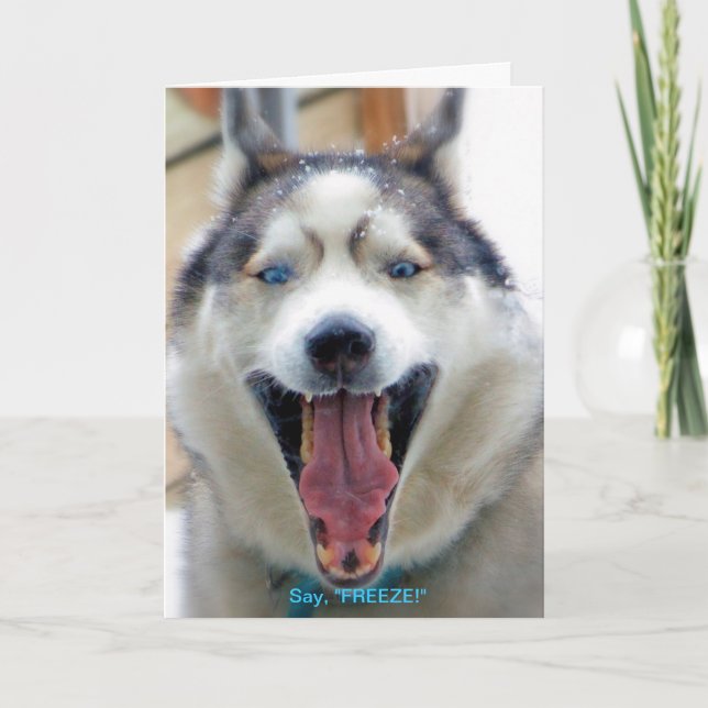 Sagen Sie, "FRIEREN Sie" Grußkarte ein Karte (Vorderseite)