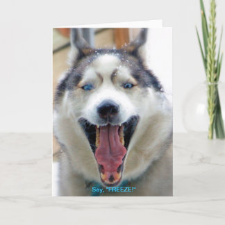 Sagen Sie, "FRIEREN Sie" Grußkarte ein Karte