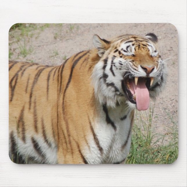 Sagen Sie Käse-Tiger Mousepad (Vorne)