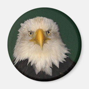 "SAGEN SIE WAS?" Bald Eagle Magnet