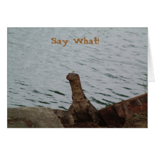 Sagen Sie, was! Wasser-Monitor